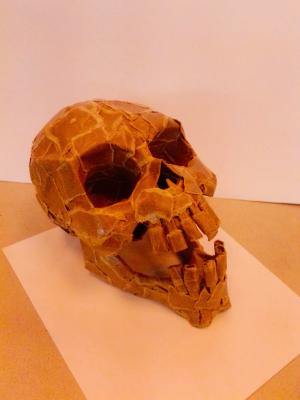 "skull" by John Christopher Dadds